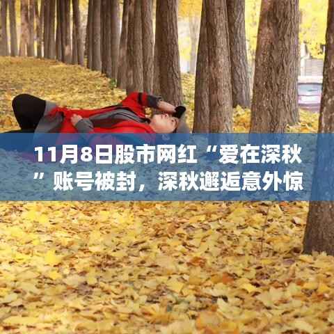 爱在深秋股市网红账号被封,与隐秘小巷特色小店深秋邂逅的意外惊喜