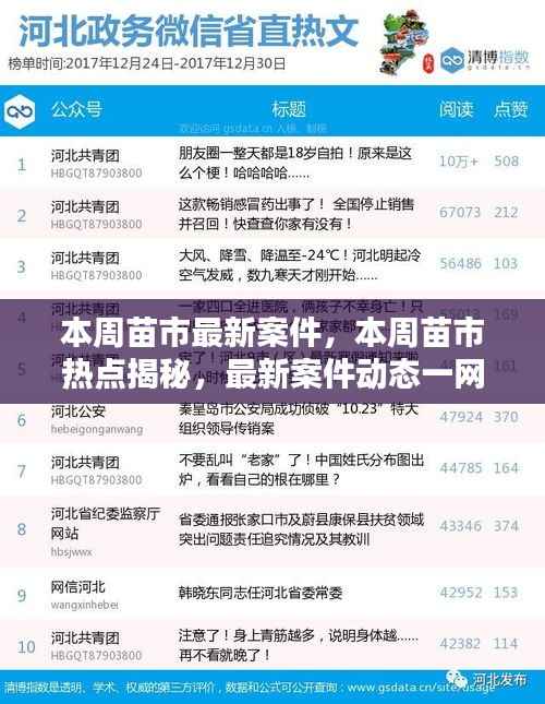 本周苗市热点揭秘,最新案件动态全掌握