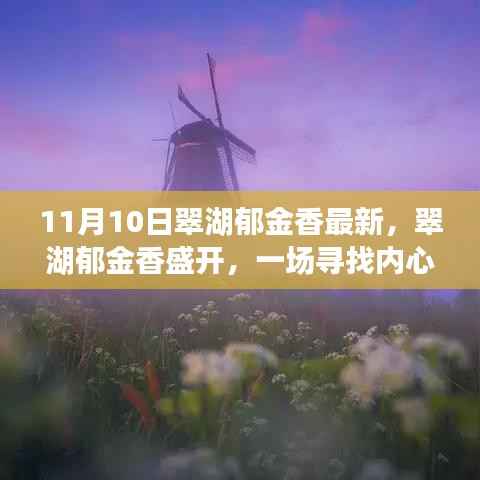 翠湖郁金香盛开,寻找内心平静的芳香之旅记实报道