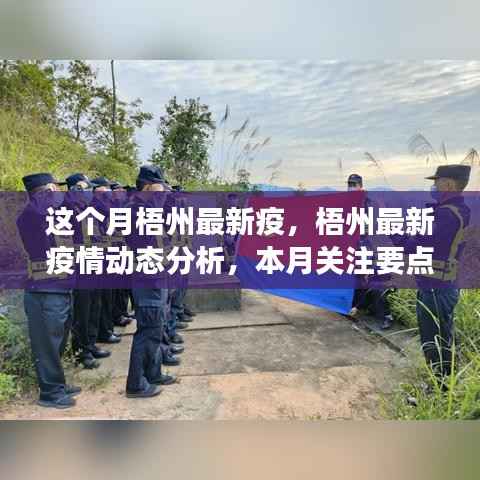 梧州最新疫情动态解析,本月关注要点及最新动态解读