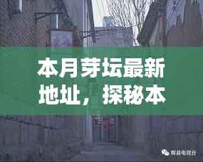 探秘本月芽坛新坐标,巷弄深处的独特小店最新地址揭秘