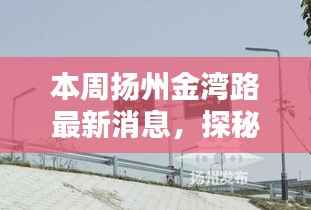 扬州金湾路探秘,小巷深处的独特风味——揭秘隐藏版特色小店