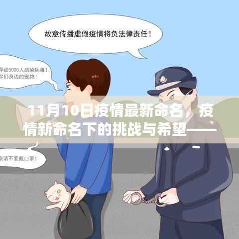 政策法规 第263页