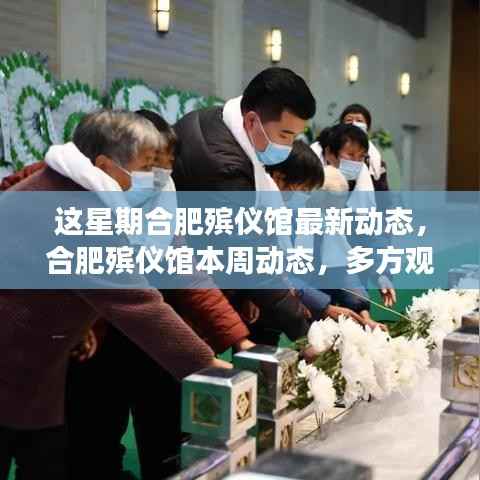 合肥殡仪馆本周多方观点深度解读,最新动态与探讨