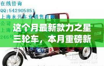 本月重磅新品,力之星三轮车的革新之旅亮相市场