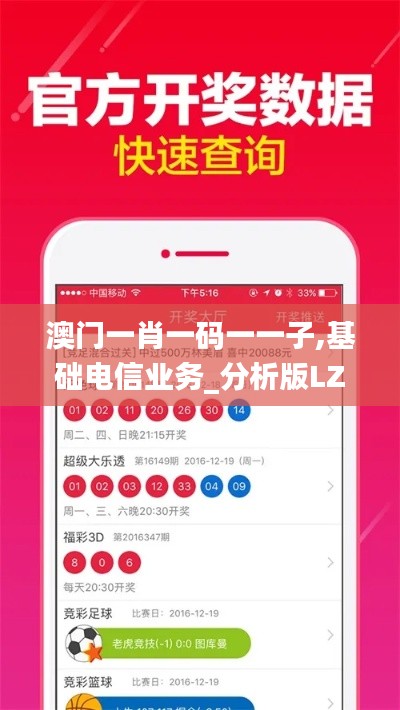 澳门一肖一码一一子,基础电信业务_分析版LZH344.76