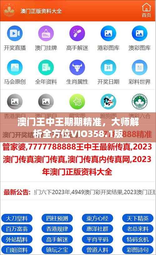 澳门王中王期期精准,大师解析全方位VIO358.1版