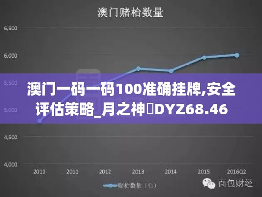 澳门一码一码100准确挂牌,安全评估策略_月之神衹DYZ68.46