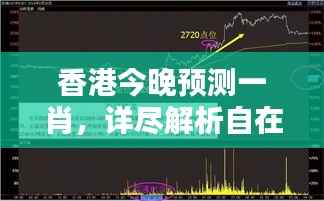 香港今晚预测一肖,详尽解析自在版QNA240.33