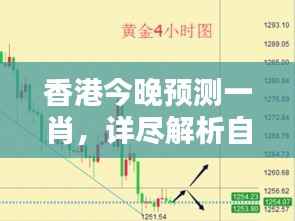 香港今晚预测一肖,详尽解析自在版QNA240.33