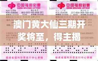 澳门黄大仙三期开奖将至,得主揭晓_核心预测QGL941.81