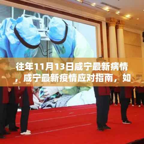 咸宁最新疫情动态及应对指南,安全度过特殊时期的初学者与进阶用户指南(11月13日更新)