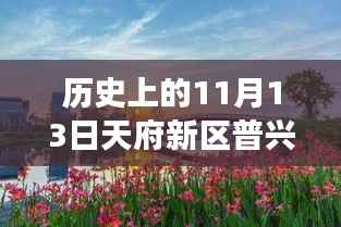 天府新区普兴规划崭新篇章，历史上的11月13日见证自信与成就变迁之路