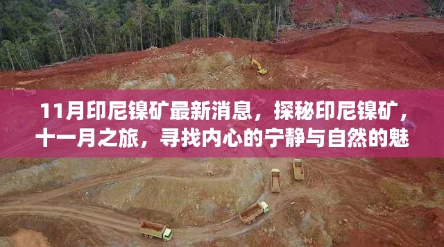 探秘印尼镍矿,十一月之旅,与自然共舞,追寻内心宁静的魅力