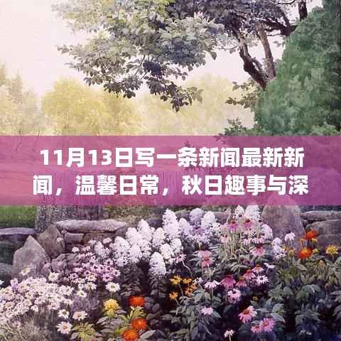 11月13日新闻故事，秋日趣事中的深厚友情与温馨日常