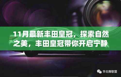 诚聘英才 第198页