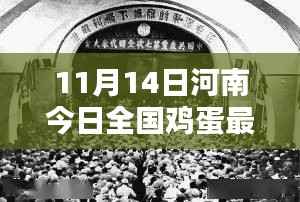 河南今日全国鸡蛋最新价格,智能蛋价监测器与未来生活的无缝对接