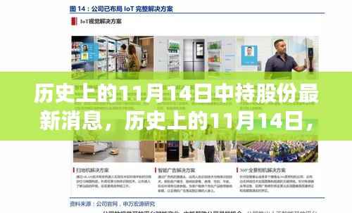 历史上的11月14日,中持股变化带来的自信与成就感,独家励志报道揭秘最新消息