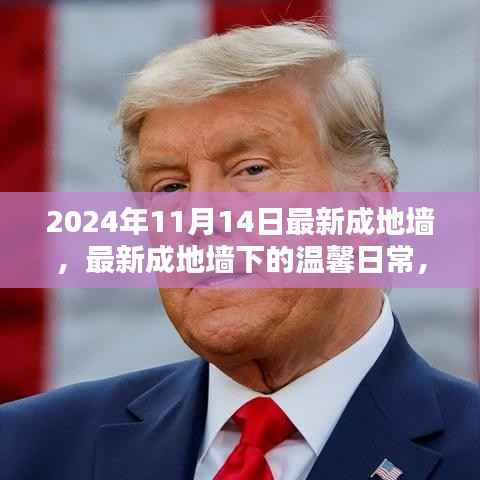 最新成地墙下的温馨日常,友谊与爱共筑美好家园的2024年1月记事
