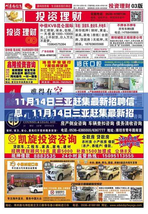 11月14日三亚赶集最新招聘信息全面解析