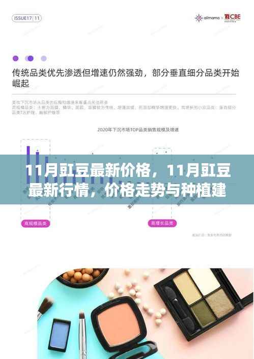 11月豇豆行情分析,最新价格、走势及种植建议