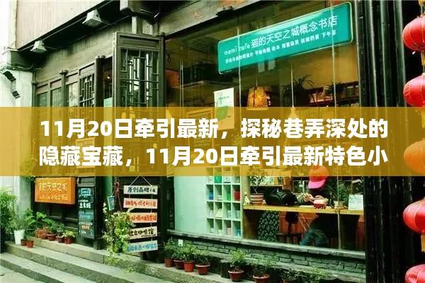 探秘巷弄深处的隐藏宝藏,11月20日特色小店之旅揭秘