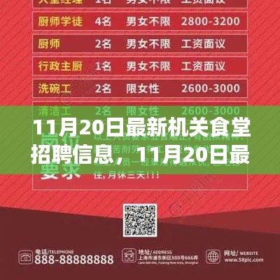 最新机关食堂招聘信息详解,11月20日发布的全解析报告