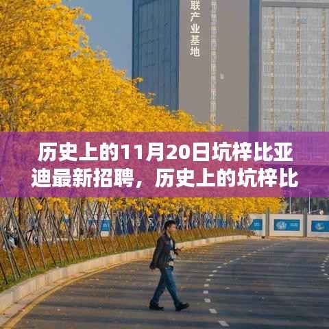 坑梓比亚迪招聘高峰日揭秘,探寻历史招聘足迹下的11月20日