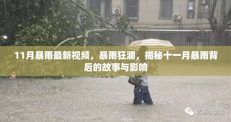 揭秘十一月暴雨背后的故事与影响,暴雨狂澜最新视频报道
