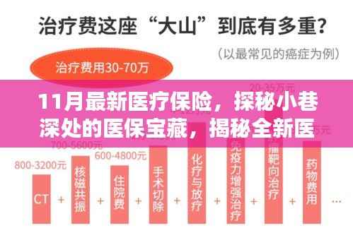 探秘医保宝藏,揭秘全新医疗保险特色小店,11月最新医疗保险深度解读