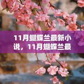 11月蝴蝶兰最新小说深度测评与介绍