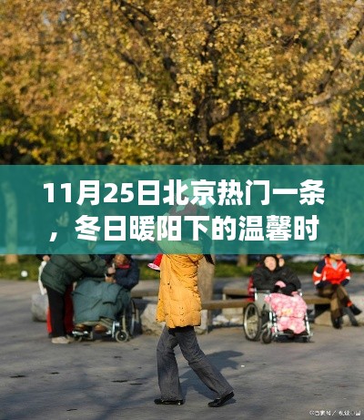 冬日暖阳下的北京一条日常故事,温馨时光回顾