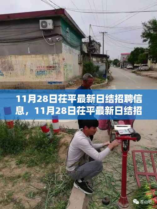 11月28日茌平最新日结招聘信息详解