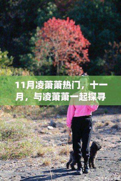 十一月心灵之旅,与凌萧萧共探自然秘境