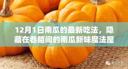 12月1日南瓜新味魔法屋,探秘南瓜盛宴的隐藏魅力