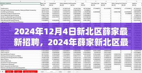 2024年新北区薛家最新招聘全攻略,适合初学者与进阶用户的应聘指南