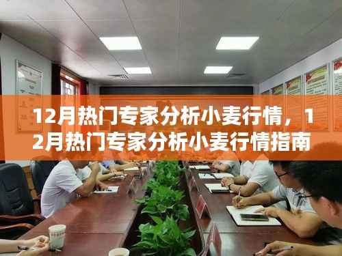 12月热门专家小麦行情解析,从入门到进阶的全方位指南