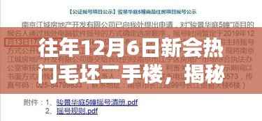 揭秘新会热门毛坯二手楼市,购房者三大关注点解析(往年12月6日)