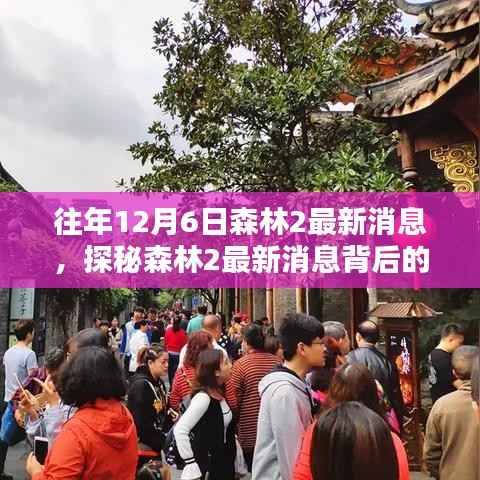 探秘森林2最新消息背后的巷子秘密小店,揭秘往年与最新动态