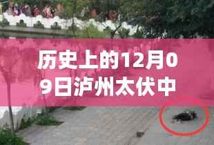 业绩展示 第145页