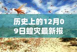 科技之光照亮蝗灾防线,智能监测预警系统引领科技抗灾新时代新篇章