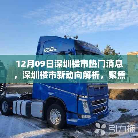 深圳楼市新动向解析,聚焦十二月九日热门消息