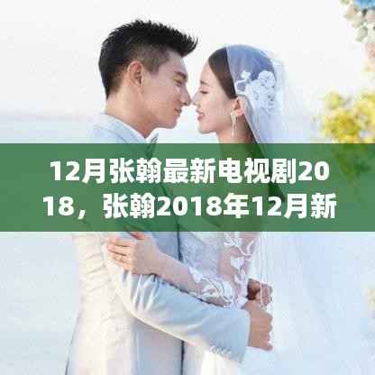 张翰2018年12月新剧全攻略,从零开始的追剧步骤与观看指南
