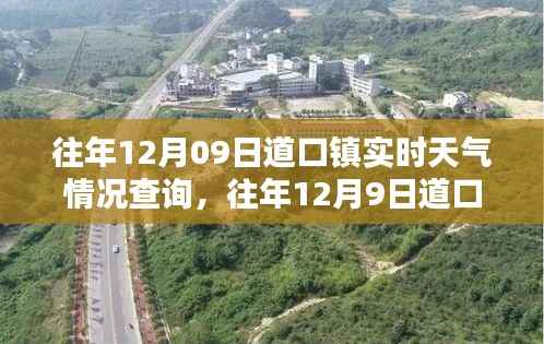 往年12月9日道口镇实时天气情况深度查询与评测报告