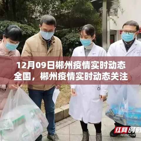 12月09日郴州疫情实时动态关注指南,全国疫情动态及初学者快速掌握方法