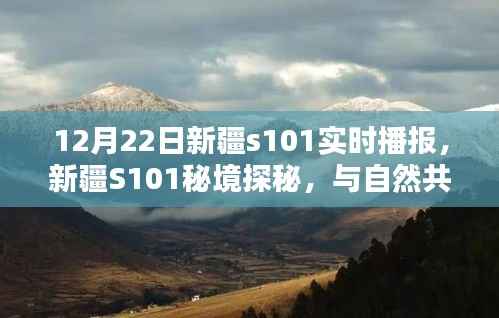 新疆S101秘境探秘,与自然共舞的日子实时播报(12月22日)