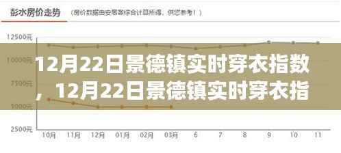 景德镇实时穿衣指数,寒冷天气下的时尚与舒适度共存指南
