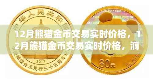 12月熊猫金币实时交易价格,洞悉市场动态,把握投资机会