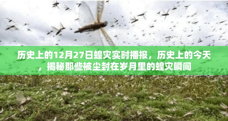 历史上的蝗灾瞬间,揭秘尘封岁月中的12月27日蝗灾实时播报