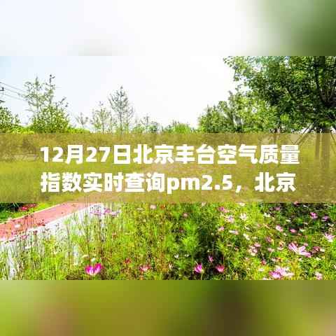 北京丰台空气质量指数实时查询与PM2.5下的温情时刻